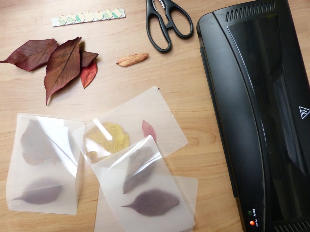 Prepare the leaves for laminating