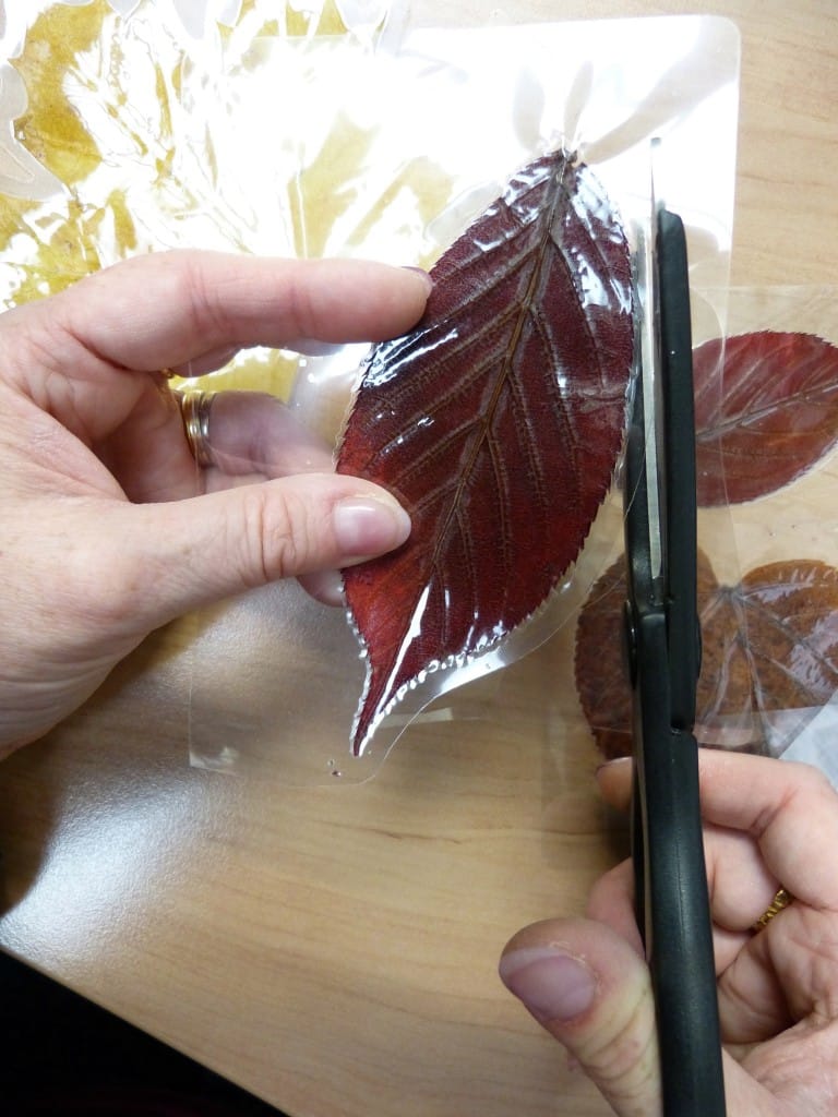 Don't forget to leave a border of laminated plastic around the outside of each leaf!