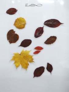 Leaf fridge magnets
