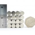 Guy's Magnets 10 mm x 2 mm neodymium disk