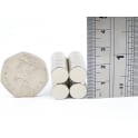 Guy's Magnets 10 mm x 5 mm neodymium disk