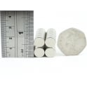 Guy's Magnets 10 mm x 5 mm neodymium disk
