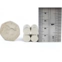 Guy's Magnets 10mm x 1.5mm N52 neodymium disk