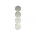 Guy's Magnets 12 mm x 2 mm N52 neodymium disk
