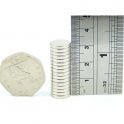 Guy's Magnets 12 mm x 2 mm N52 neodymium disk