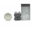 Guy's Magnets 12 mm x 3 mm ferrite disk