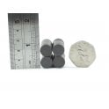 Guy's Magnets 12 mm x 3 mm ferrite disk