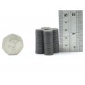 Guy's Magnets 12 mm x 3 mm ferrite disk