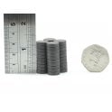 Guy's Magnets 12 mm x 3 mm ferrite disk