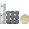 Guy's Magnets 12 mm x 6 mm ferrite disk