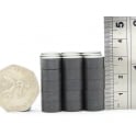 Guy's Magnets 12 mm x 6 mm ferrite disk