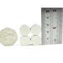 Guy's Magnets 15 mm x 2 mm N52 neodymium disk
