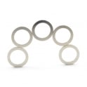 Guy's Magnets 19 mm x 14 mm x 1 mm N52 neodymium ring