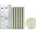 Guy's Magnets 5 mm x 0.5 mm N52 high grade neodymium disk
