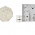 Guy's Magnets 5 mm x 1 mm neodymium disk