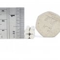 Guy's Magnets 5 mm x 1 mm neodymium disk