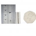 Guy's Magnets 5 mm x 1 mm neodymium disk