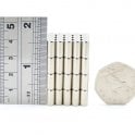 Guy's Magnets 5 mm x 10 mm neodymium rod