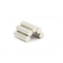 Guy's Magnets 6 mm x 2 mm neodymium disk