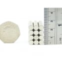 Guy's Magnets 6 mm x 2 mm neodymium disk