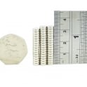 Guy's Magnets 6 mm x 2 mm neodymium disk