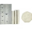 Guy's Magnets 6 mm x 2 mm neodymium disk