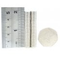 Guy's Magnets 8 mm x 2 mm N52 high grade neodymium disk