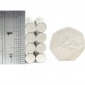 Guy's Magnets 8 mm x 3 mm diametrically magnetised higher operating temperature neodymium disk