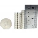 Guy's Magnets 8 mm x 5 mm N38 neodymium disk