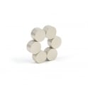 Guy's Magnets 9 mm x 1 mm neodymium disk