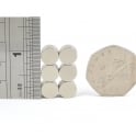 Guy's Magnets 9 mm x 1 mm neodymium disk