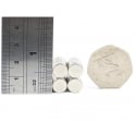 Guy's Magnets 9 mm x 3 mm neodymium disk