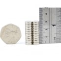 Guy's Magnets 9 mm x 3 mm neodymium disk
