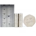 Guy's Magnets 9 mm x 3 mm neodymium disk