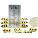 Guy's Magnets Bee fridge magnets - Box of 4