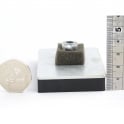Guy's Magnets Vehicle Mag Pad 1 53mm x 79mm with M6 thread and nut - COMPLETE BOX OF 48