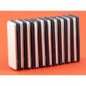 Guy's Magnets Name Badge Fastener
